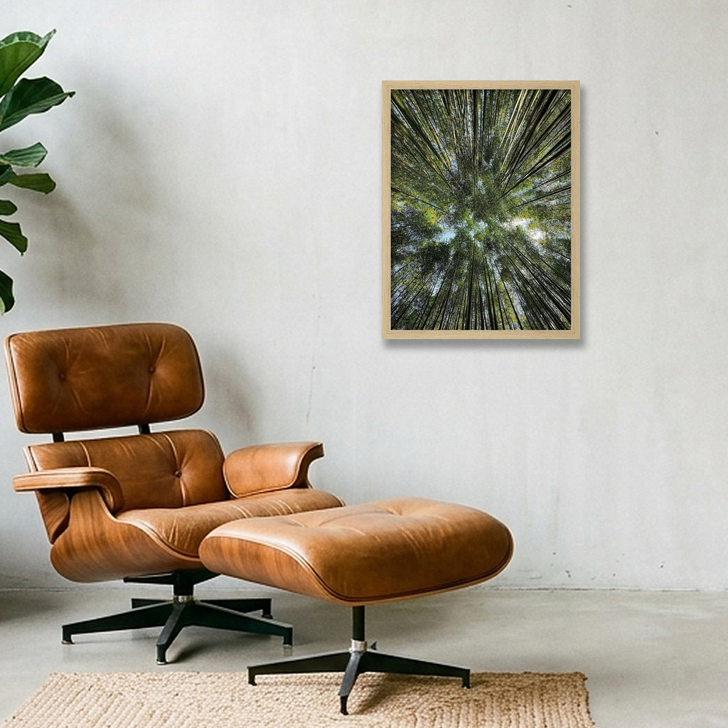 "Bamboo forest" - Japan — 30×40cm, 12×16" Oak Frame