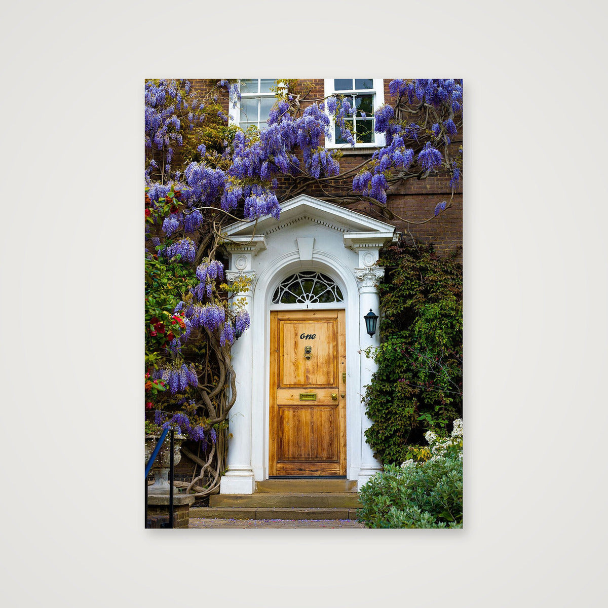 "Wisteria" - London — A4 (21×30cm, 8×12") Print only