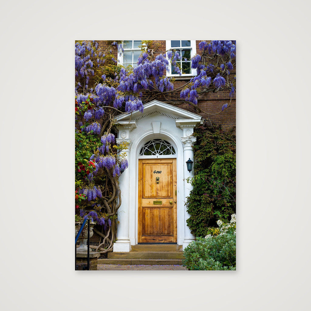 "Wisteria" - London — 70×100cm, 28×39" Print only