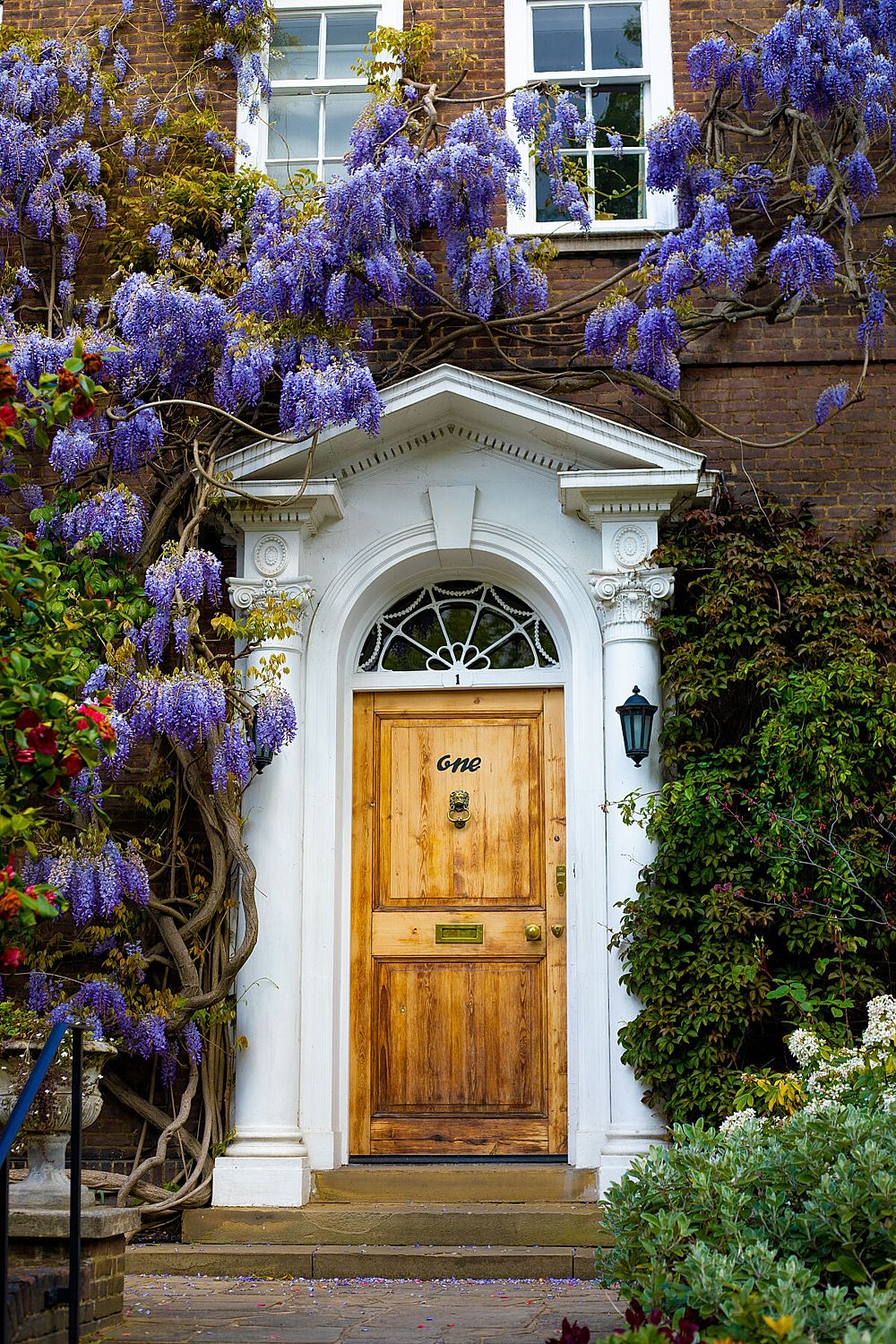 "Wisteria" - London
